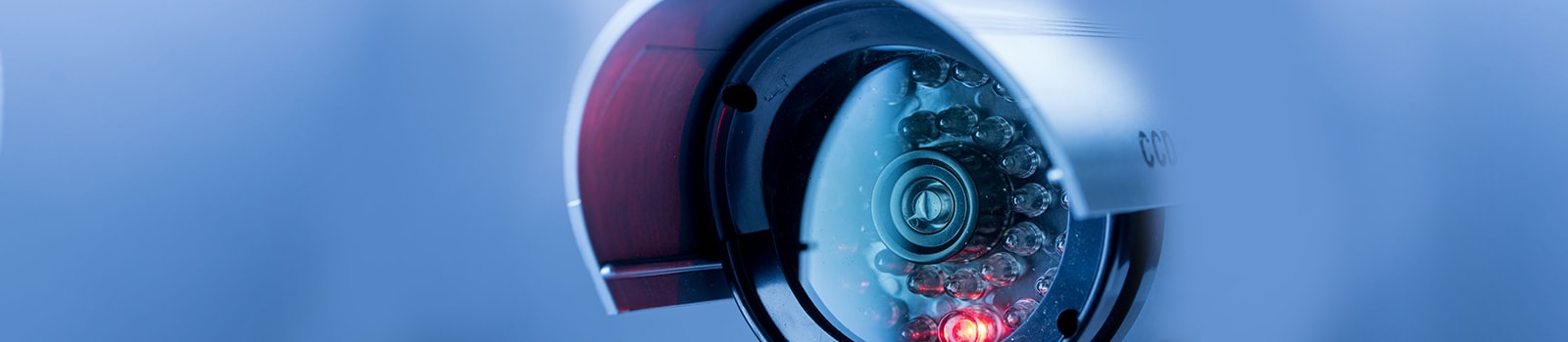 Banner 1